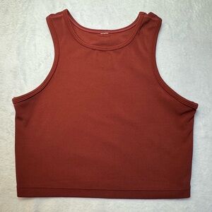 Paragon Naked Crop Top in Brick